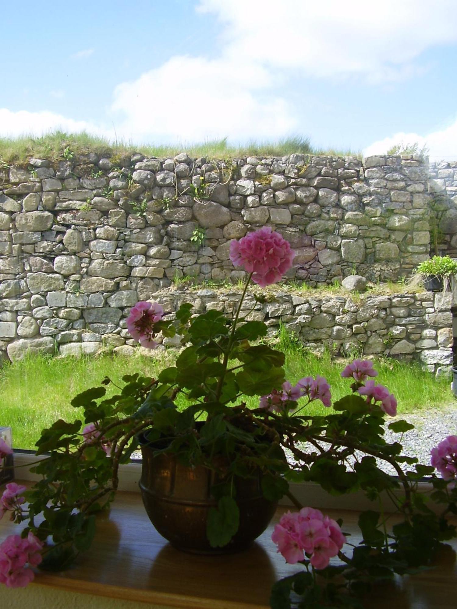 Glenboy Country Accommodation Oldcastle Exterior photo