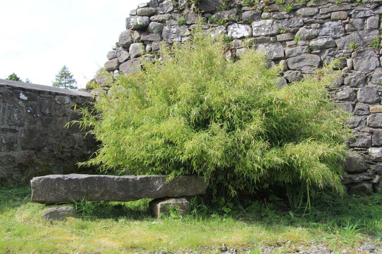 Glenboy Country Accommodation Oldcastle Exterior photo
